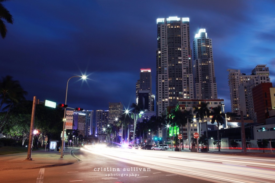 downtown Miami landscape